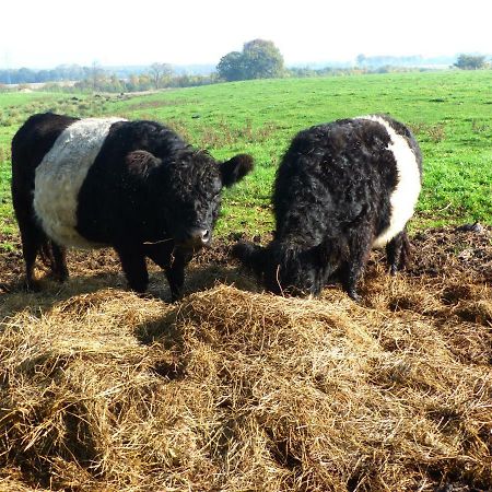 Kristiansminde Farm Holiday Tistrup Luaran gambar