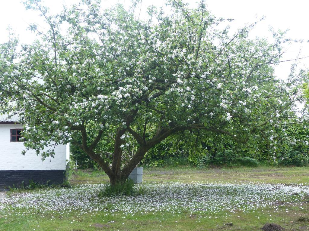 Kristiansminde Farm Holiday Tistrup Luaran gambar